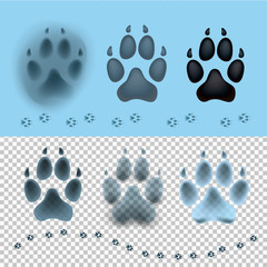 Dog set paw print flat icon for animal apps and websites. Footprint on the snow. Template for your graphic design. Vector illustration. Isolated on transparent and light blue background.