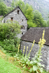 Traditional rural village of Fontana on the Swiss alps