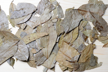 Decoction of the leaves. Graviola tea - natural medicine.