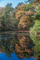 Groot Goorven, Oisterwijkse vennen