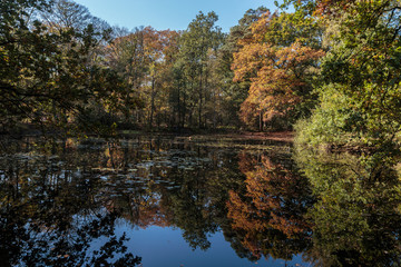 Groot Goorven, Oisterwijkse vennen