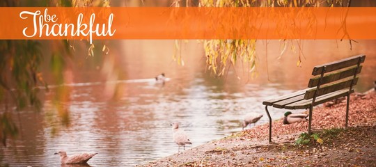 Composite image of thanksgiving greeting text