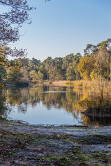Groot Goorven, Oisterwijkse vennen