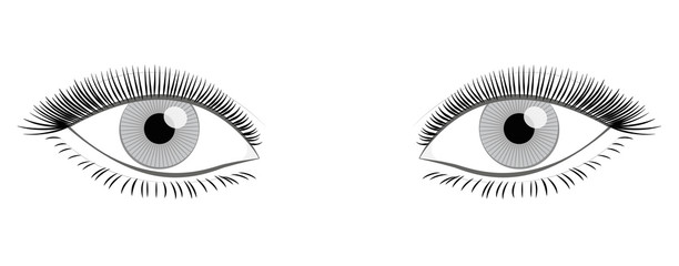 Female eyes with full, thick lashes looking at you - isolated vector illustration on white background.