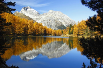 Palpuogna See gegen Piz Ela
"im goldenen Oktober"