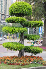 Obraz premium China