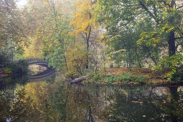 Fototapeta na wymiar Herbst im Rombergpark, Dortmund, Ruhrgebiet, Nordrhein-Westfalen, Deutschland, Europa