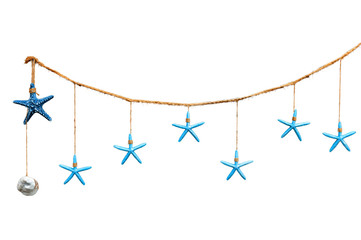 Starfish, clam, rope on white background.