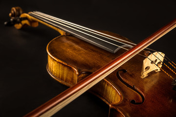 violin