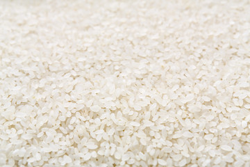 White rice background and texture, copy space