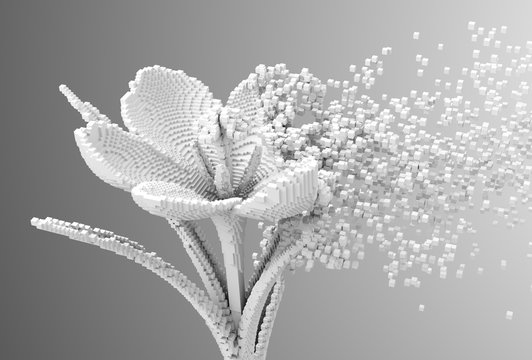 Fototapeta Cyfrowy kwiat rozpada się na piksele 3D