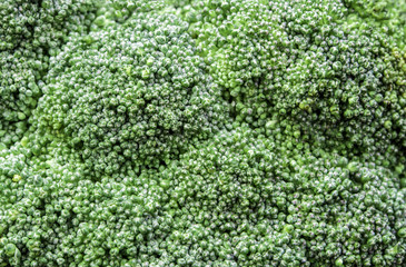 Surface texture of freshness Broccoli vegetable