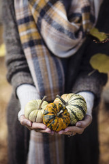 Giovane donna caucasica tiene in mano zucche decorative