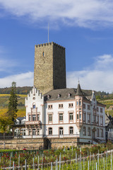 Fototapeta na wymiar Boosenburg in Rüdesheim am Rhein, Weinstadt in Deutschland