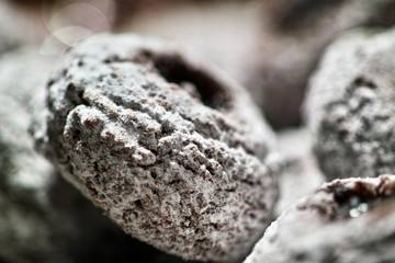 Schokokeks mit Puderzucker 02