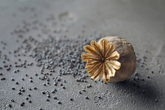 Poppy head with seeds on table, closeup
