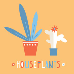 Simple vector bright flat houseplants. Succulent and leaves. Gre