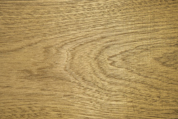 Veneer sapel. Backdrop or background wooden.