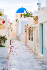 Obraz na płótnie Canvas Oia town on Santorini island, Greece. Traditional and famous white and rose houses at sunny day