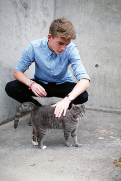 Boy stroking  a cat