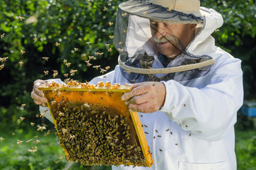 portret pszczelarza w pasiece