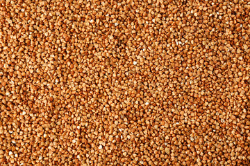 Raw buckwheat, closeup