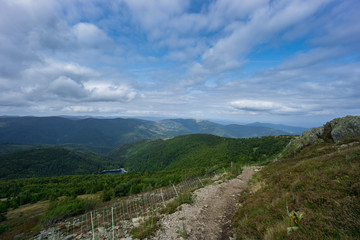 Fototapeta na wymiar France - Hike trail with fence on top of mountain grand ballon in french vosges