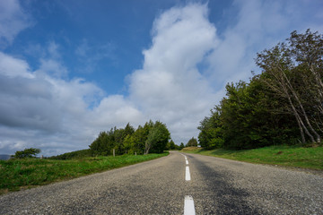 France - Curved street between forest of alsace at route de cretes with medial strip