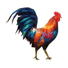 Colorful rooster on a white - obrazy, fototapety, plakaty