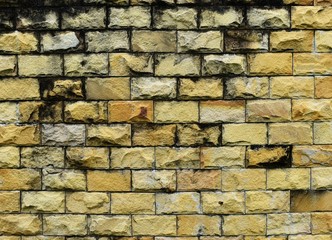 dirty and old yellow brick wall for background