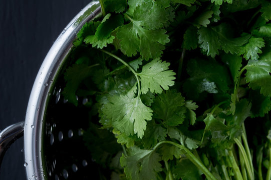 Italian Parlsley in Colander