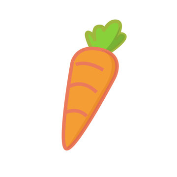 Cute cartoon carrot vector with isolated white background.Fresh carrot.