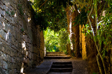 Botanische Gasse in La Roque Gageac in der Dordogne