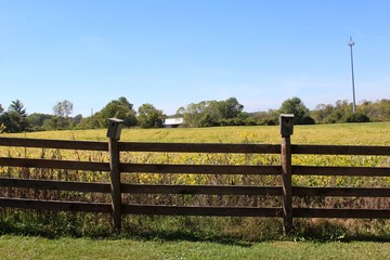 The wooden fence and the autumn crop on the farmland.
