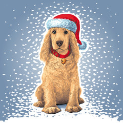 Dog sitting іn Santa hat