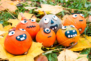 Halloween. a cheerful Halloween pumpkin among the leaves.