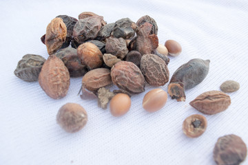 argan fruit