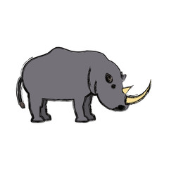rhino  vector illustration