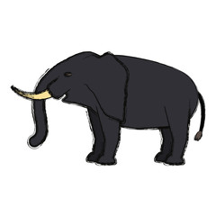 elephant vector illustration