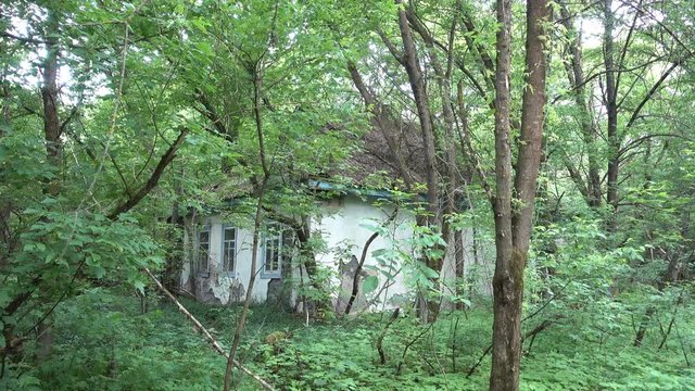Chernobyl, Ukraine - 17th of June 2017: Visit to Zalesye village in Chernobyl zone - 4K Abandoned old house beyond the woods 