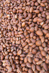argan nut