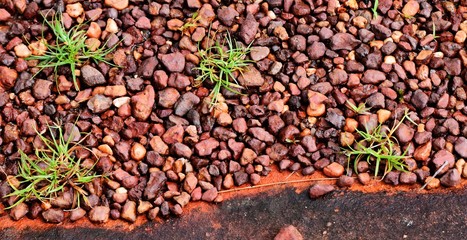 little red stone and little green grass