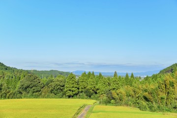 Fototapeta na wymiar Peaceful Countryside Scenery in Miyakonojo, Japan