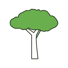 tree vector illustration