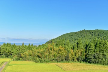 Beautiful View of Green Field and Blue Sky in Japan