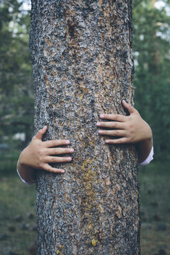 Man hugging tree