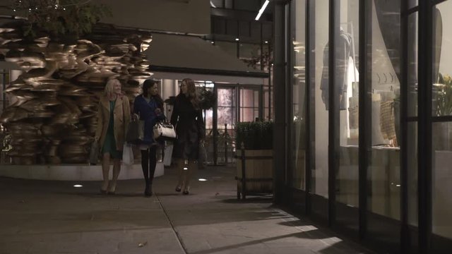  Female friends with shopping bags looking in shop window in the city at night