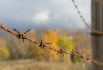 Fototapeta na wymiar Barbed wire background