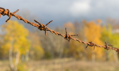 Barbed wire background