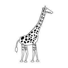 flat line  uncolored   giraffe  sticker over white background  vector illustration